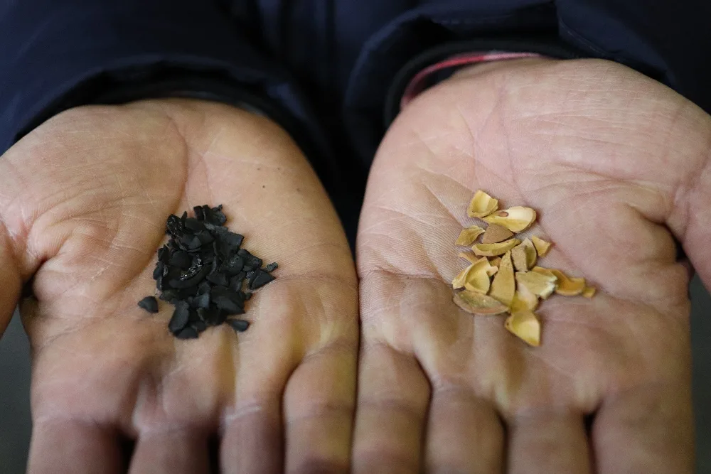 Кадр с tkomplex.ru