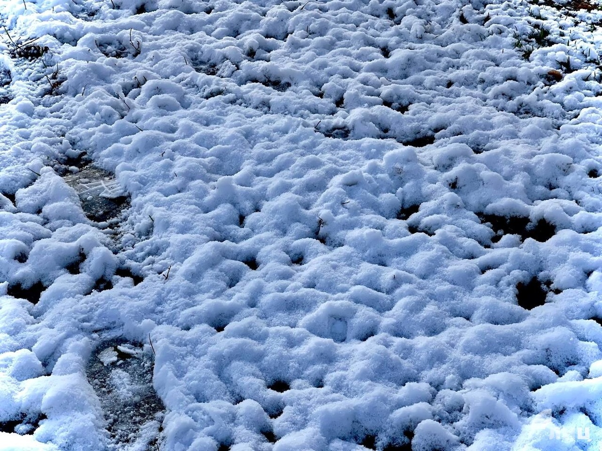    Фото: Луганский Информационный Центр