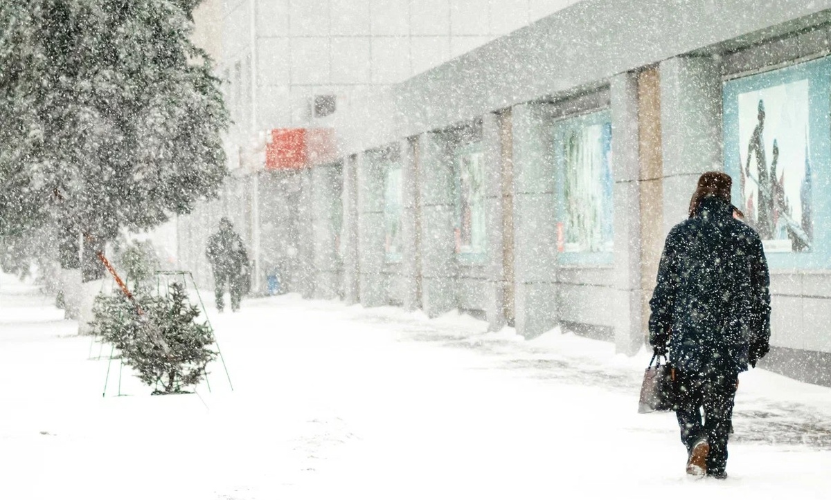 Фото: Ирина Сидоренко/ «Курская правда»