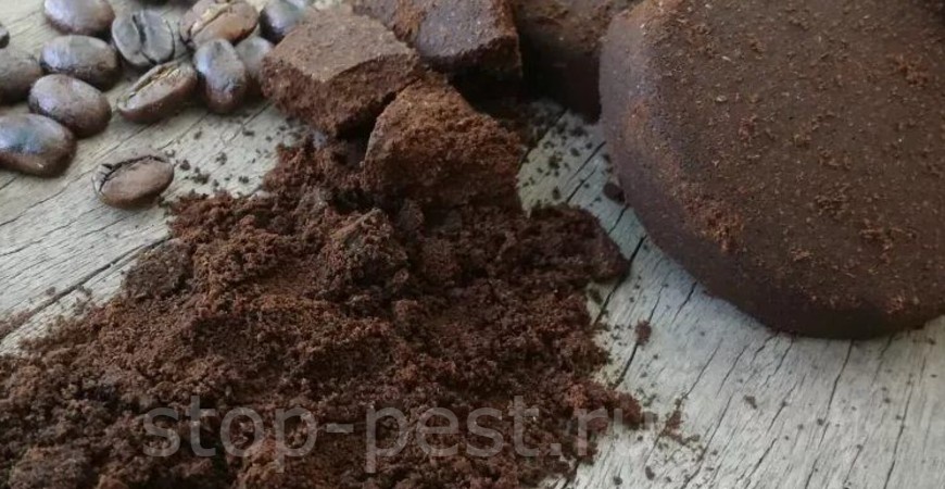 Можно ли вносить КОФЕЙНЫЙ ЖМЫХ в почву (польза или вред, для каких растений можно, ... а можно ли от кофе с молоком)