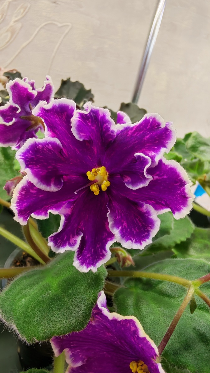 АВ-Просто Космос