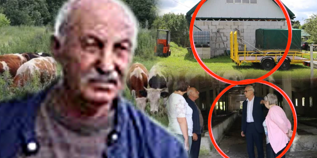 Теперь ясно, что сертификата оказалось мало: Озманян-старший заполучил грант на покупку свыше 80 коров