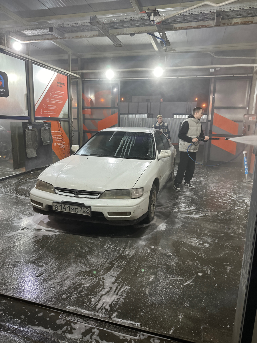 В день покупки белой щучки