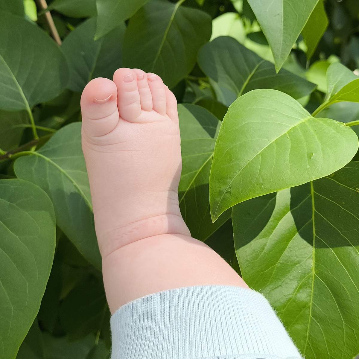 Я уже ужасно скучаю по этой толстой ножке-покемошке 5 месячной 😭 как так быстро время проходит?? 