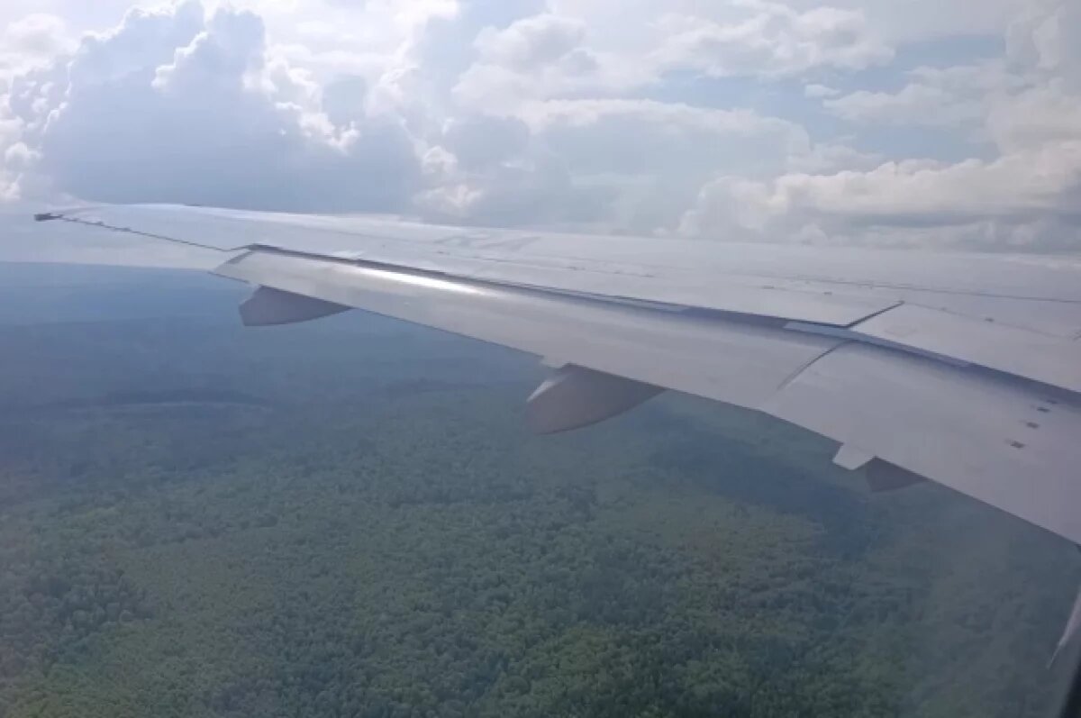    Летающий морг: мертвых и покалеченных наемников начали вывозить из Украины