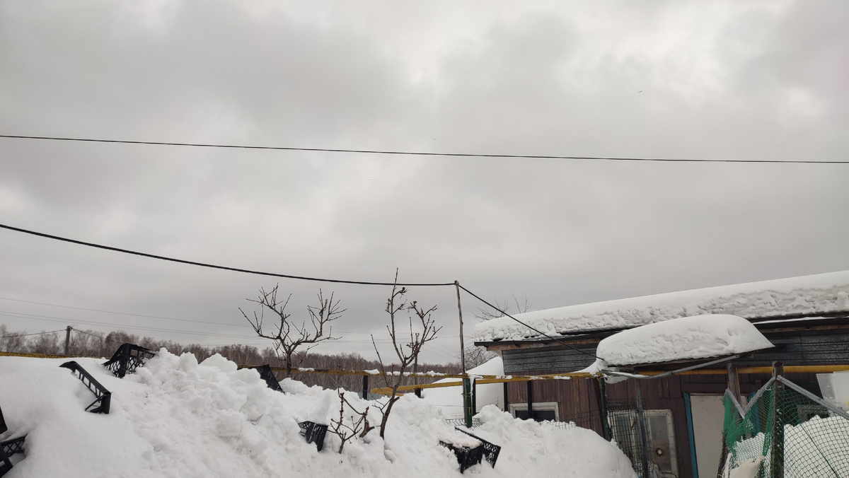 Суровое небо