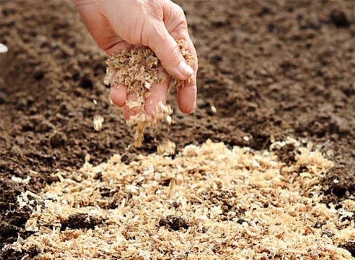 Яндекс картинки