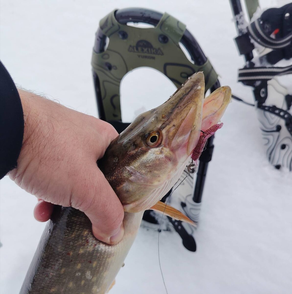 Простенькие снегоступы сущесвенно облегчают жизнь зимнего спиннингиста