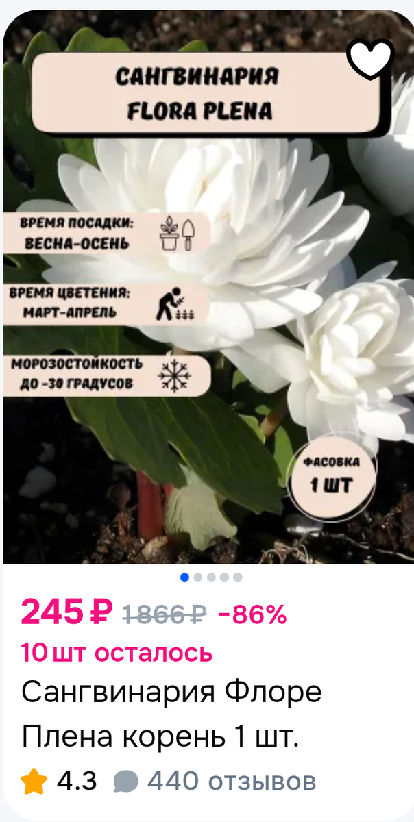 Скриншот предложения от магазина