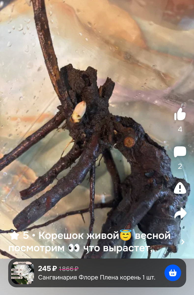 По фото все понятно без слов. Скриншот отзыва