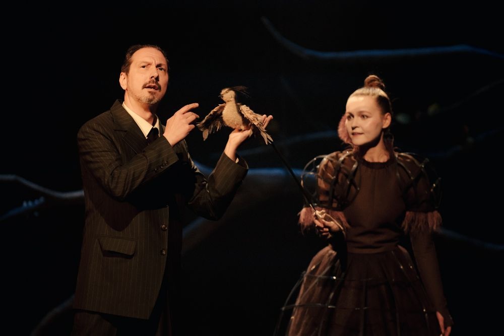     Фото: Никита Скляревский / Воронежский театр кукол имени В. Вольховского