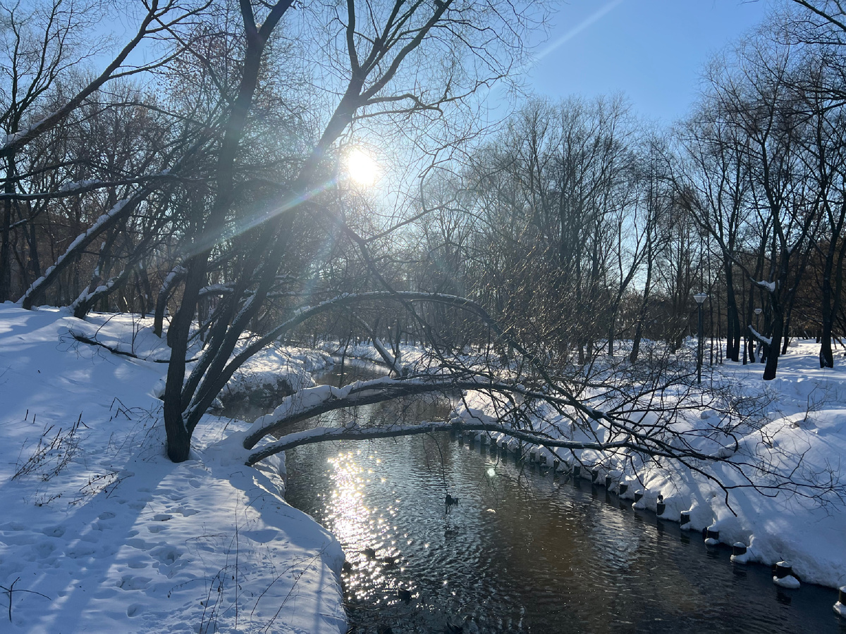 Фото автора : Россия, Москва, река Яуза.