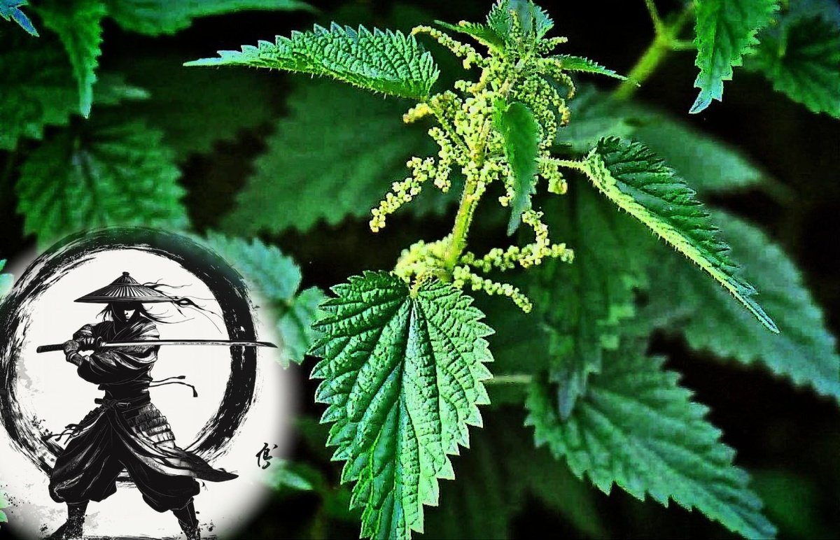 Фото с просторов всемирной паутины.