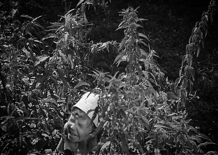 Фото с просторов всемирной паутины.