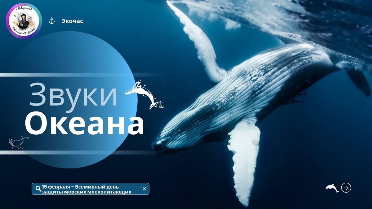 19 февраля - Всемирный день защиты морских млекопитающих