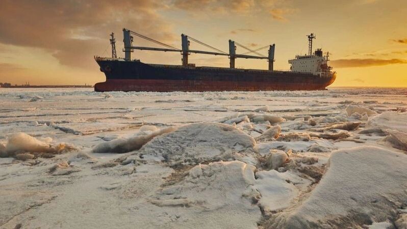    Фото: Artic_photo/Shutterstock/Fotodom