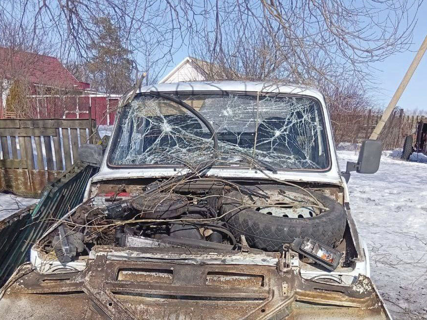     Фото: t.me/vvgladkov (архив)