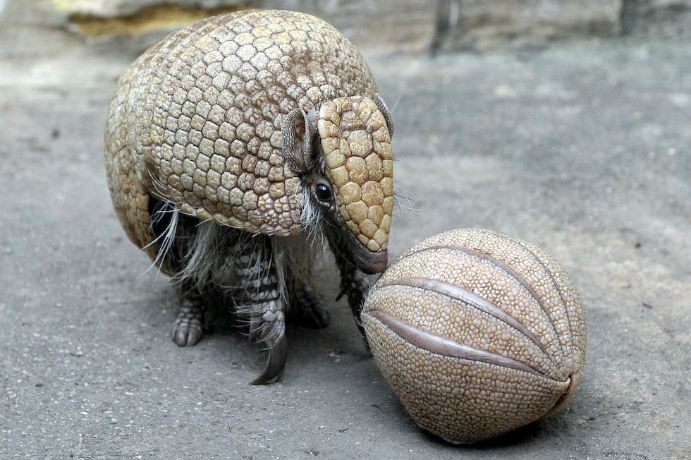 Выходи уже, родственники ушли. 