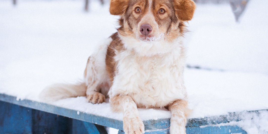 Москва! Приходите на выставку 22.02.2026!!