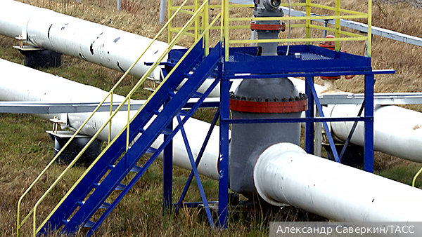    Фото: Александр Саверкин/ТАСС   
 Текст: Валерия Городецкая