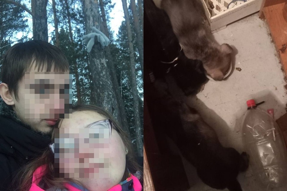    Пара из Красноярска набирает животных, которые позже бесследно исчезают. Фото: соцсети, волонтеры. На фото: Олеся и Ренат