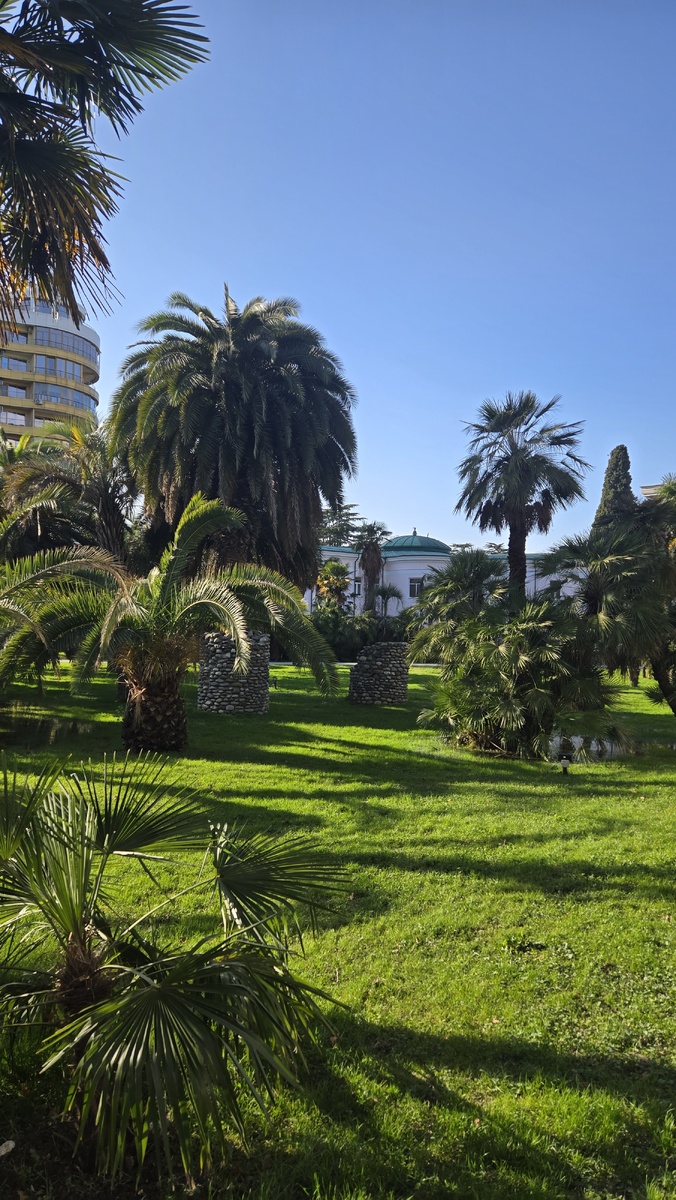 Сочи, январь 2026 г.