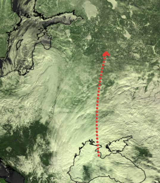    Движение циклона WALLY V к Петербургу Автор фото: Александр Колесов