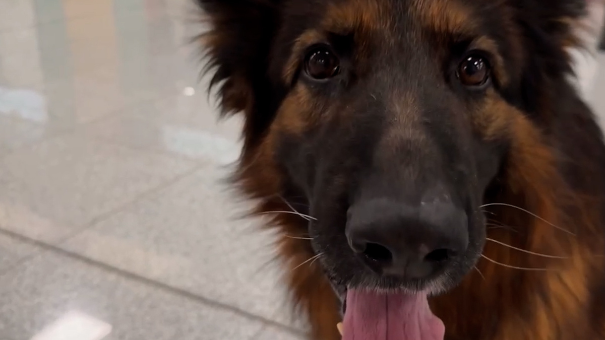    Первый канал