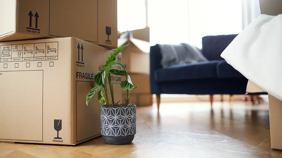    Фото: vm.ru Максим Левин