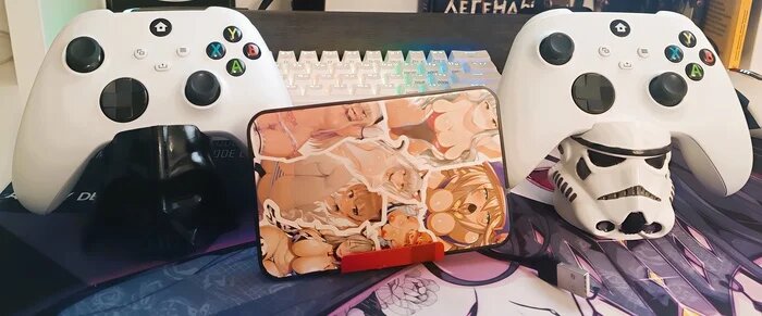 HDD 500GB и два геймпада.