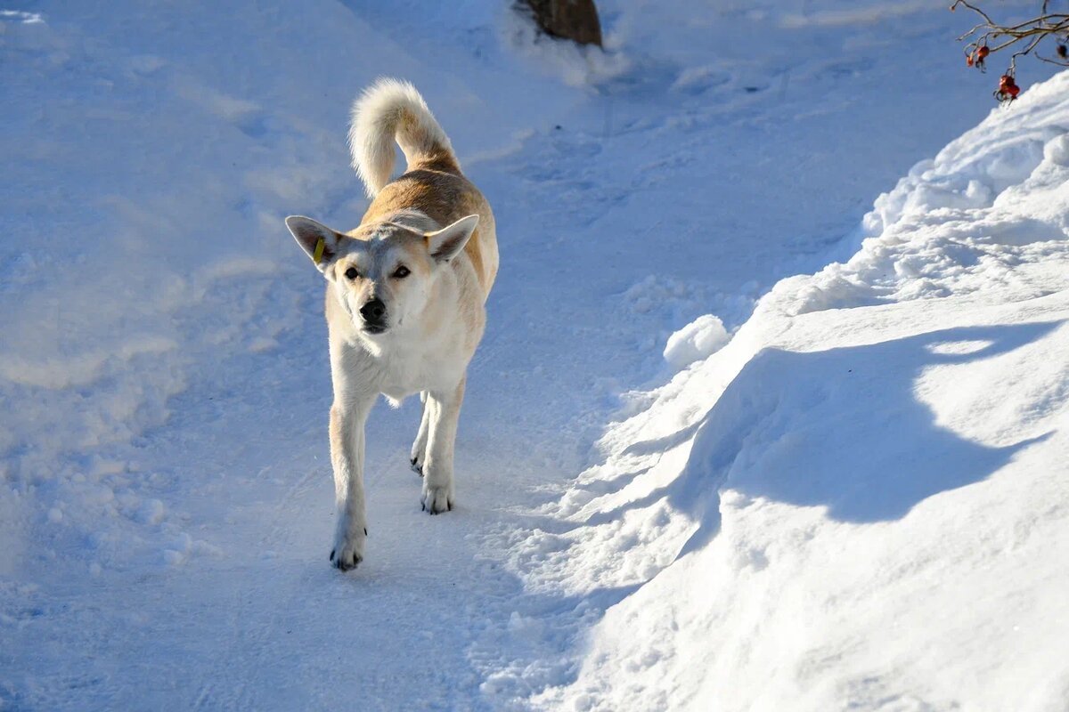    Фото: "Республика"/ Оксана Кудряшова