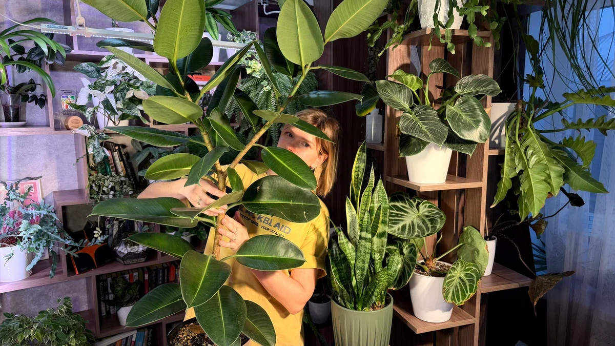 Вот такая махина у нас выросла