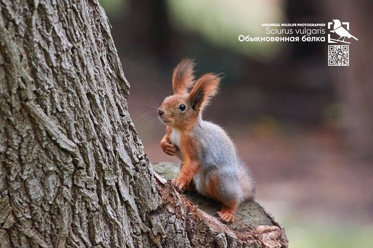 Фото Павла Сторчилова