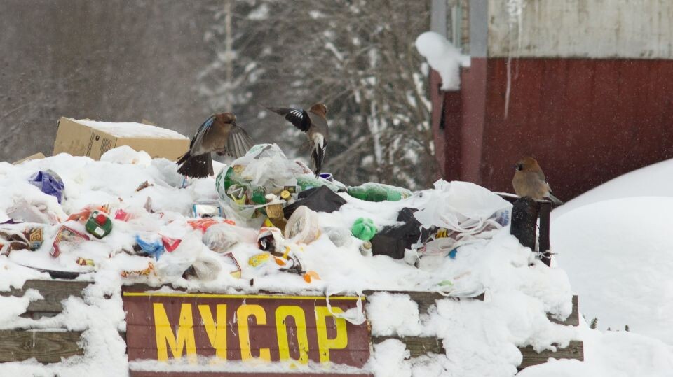    Свалка. Мусор. Источник: unsplash.com