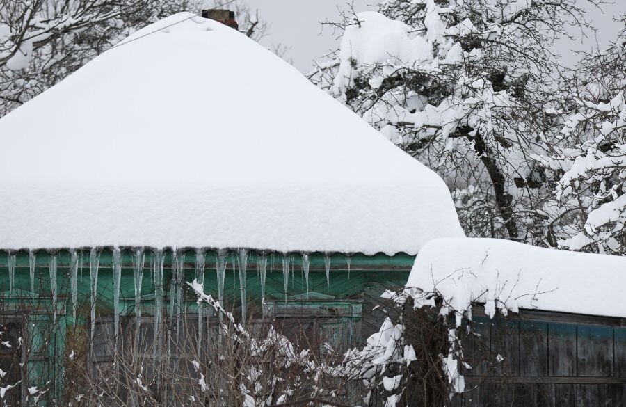     / Источник: © Виталий Тимкив/РИА Новости