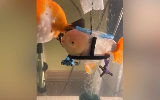     / Источник: © Кадр из видео