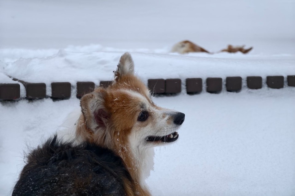    Температура днем составит -7…9 градусов. Алексей БУЛАТОВ