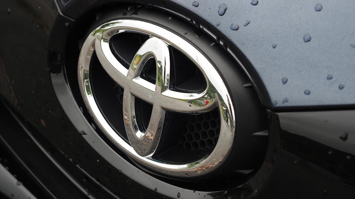    Фото: Igor Golovniov/globallookpress.com