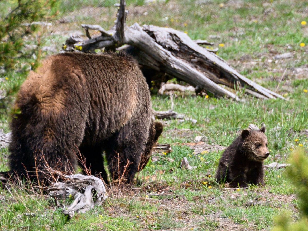 Eric Kilby, BY SA 4.0