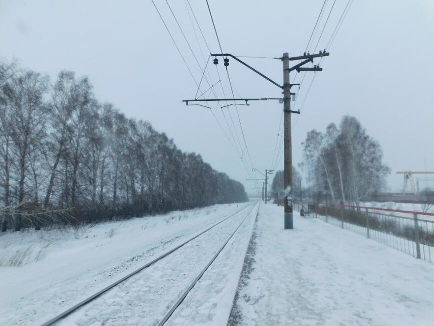    Фото Анны Зубаревой