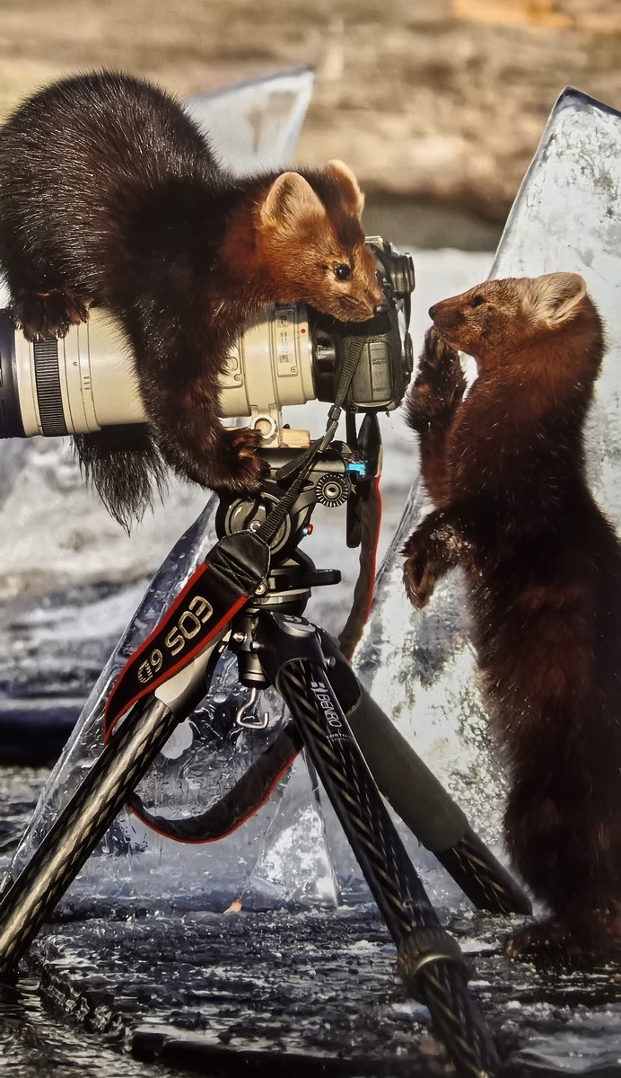 Режиссер и продюсер.