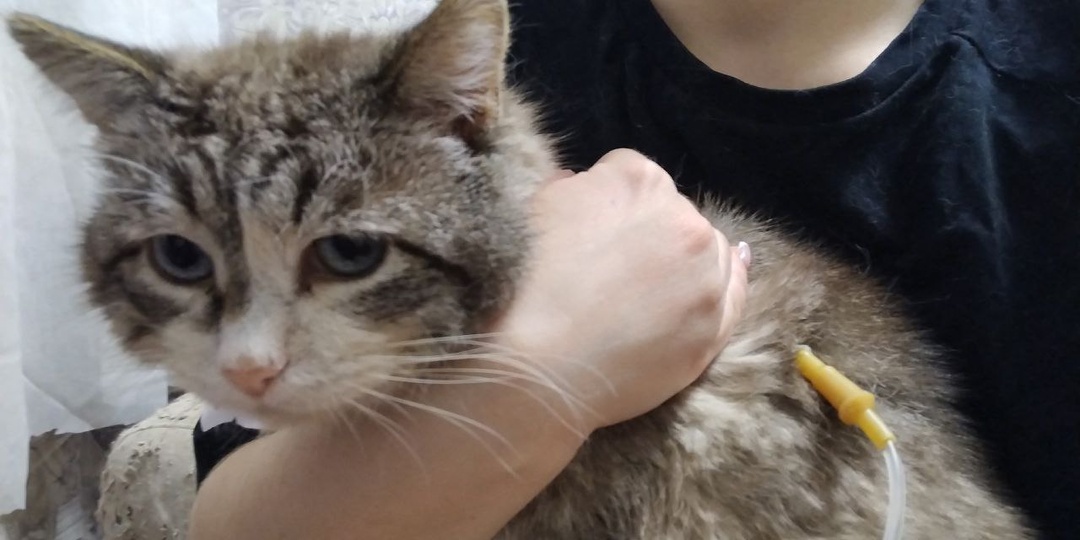 Никто не обещал, что будет легко