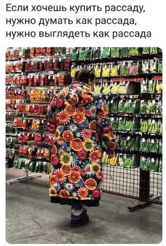 картинка из интернета