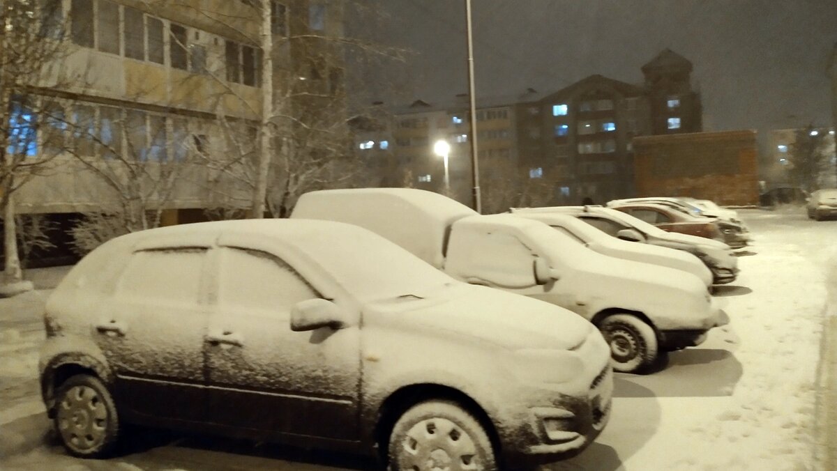    Фото: Сергей Егоров