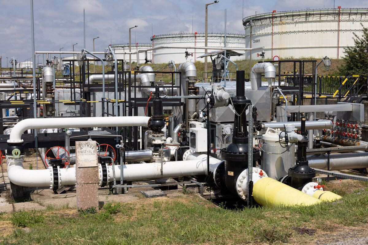     / Источник: © Attila Volgyi/XinHua/Global Look Press