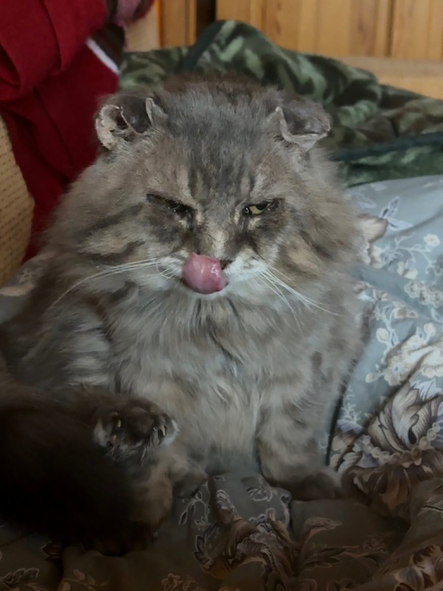 Да, я этого хорька одной левой уложу! Везде фото автора.