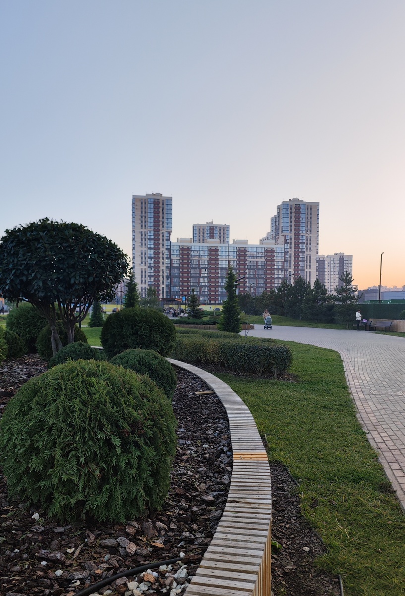 На фото привычный конец ноября в Краснодаре