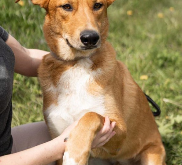 Хуч: Солнце, брошенное на обочине, ищет свой дом