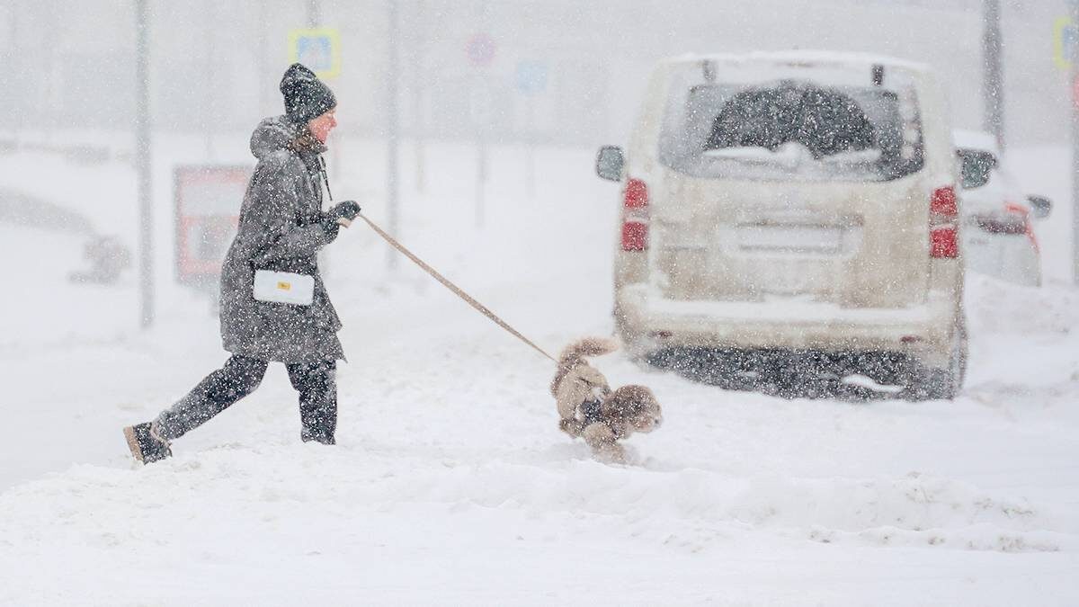    Фото: Ярослав Чингаев / АГН Москва