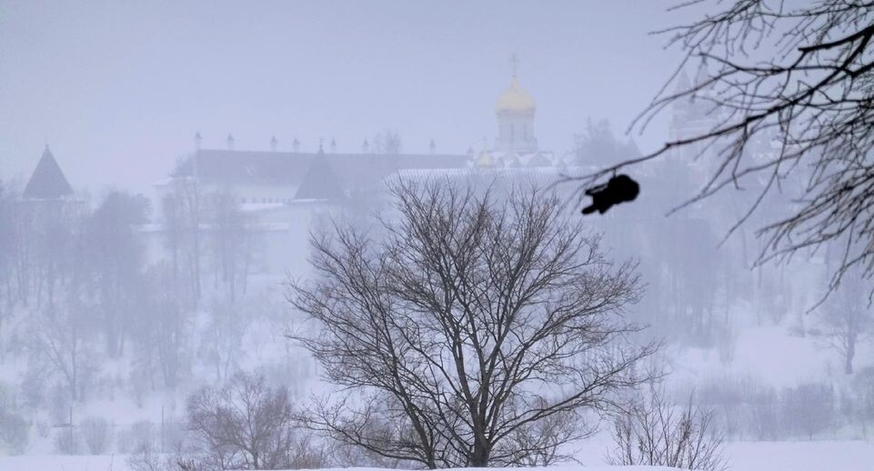    личный архив Евгении Шевниной